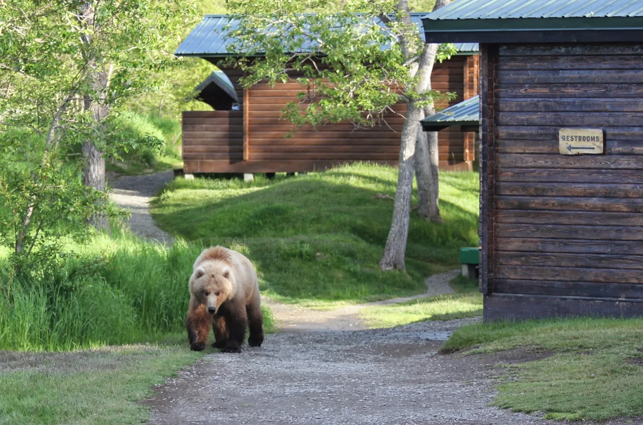 Brooks Lodge in Katmai